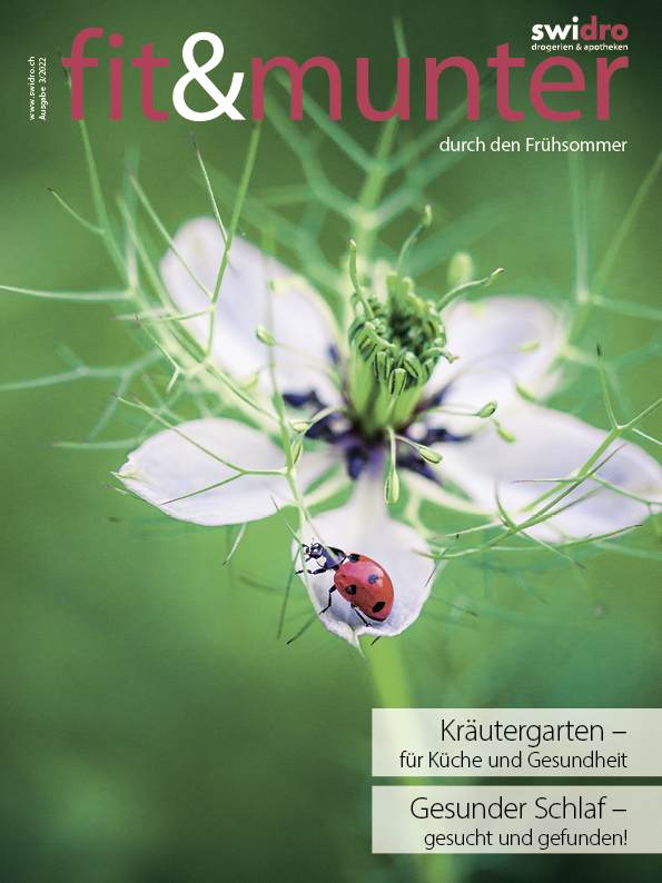 Coverseite_ohne_Umhefter_3-2022